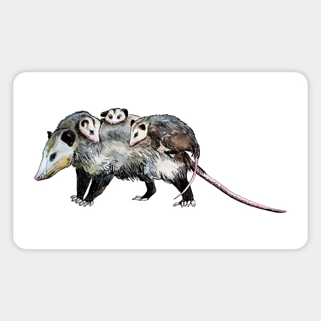 mother opossum Magnet by VicaVeresk